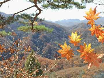 肇庆新区智能家居城
,肇庆新区智能家居城在哪里